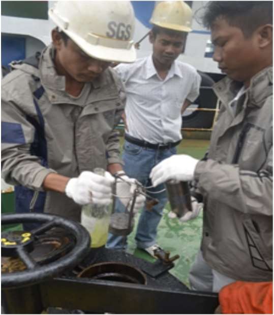 SGS inspection